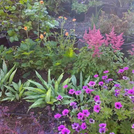 טיברטון Brambles Bed And Breakfast מראה חיצוני תמונה