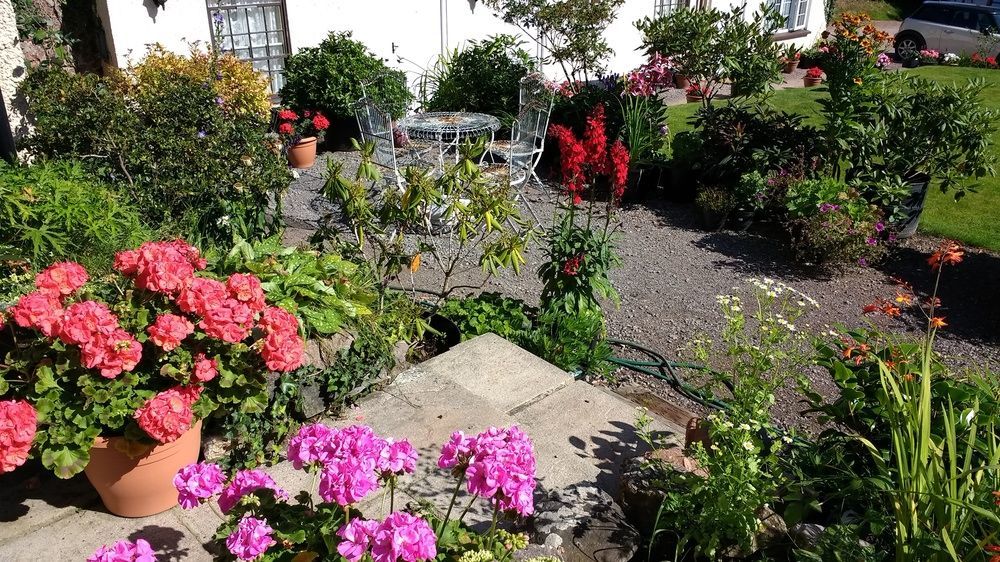 טיברטון Brambles Bed And Breakfast מראה חיצוני תמונה