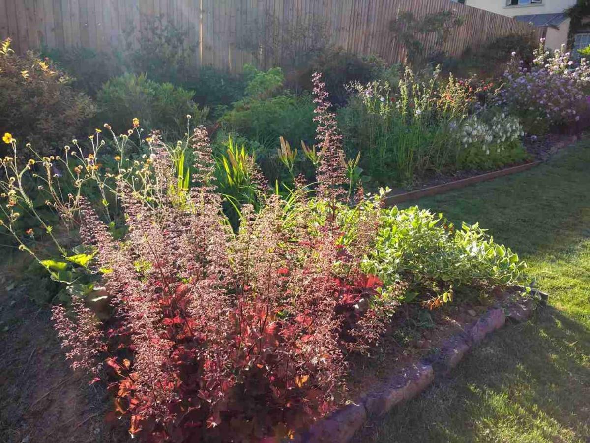 טיברטון Brambles Bed And Breakfast מראה חיצוני תמונה
