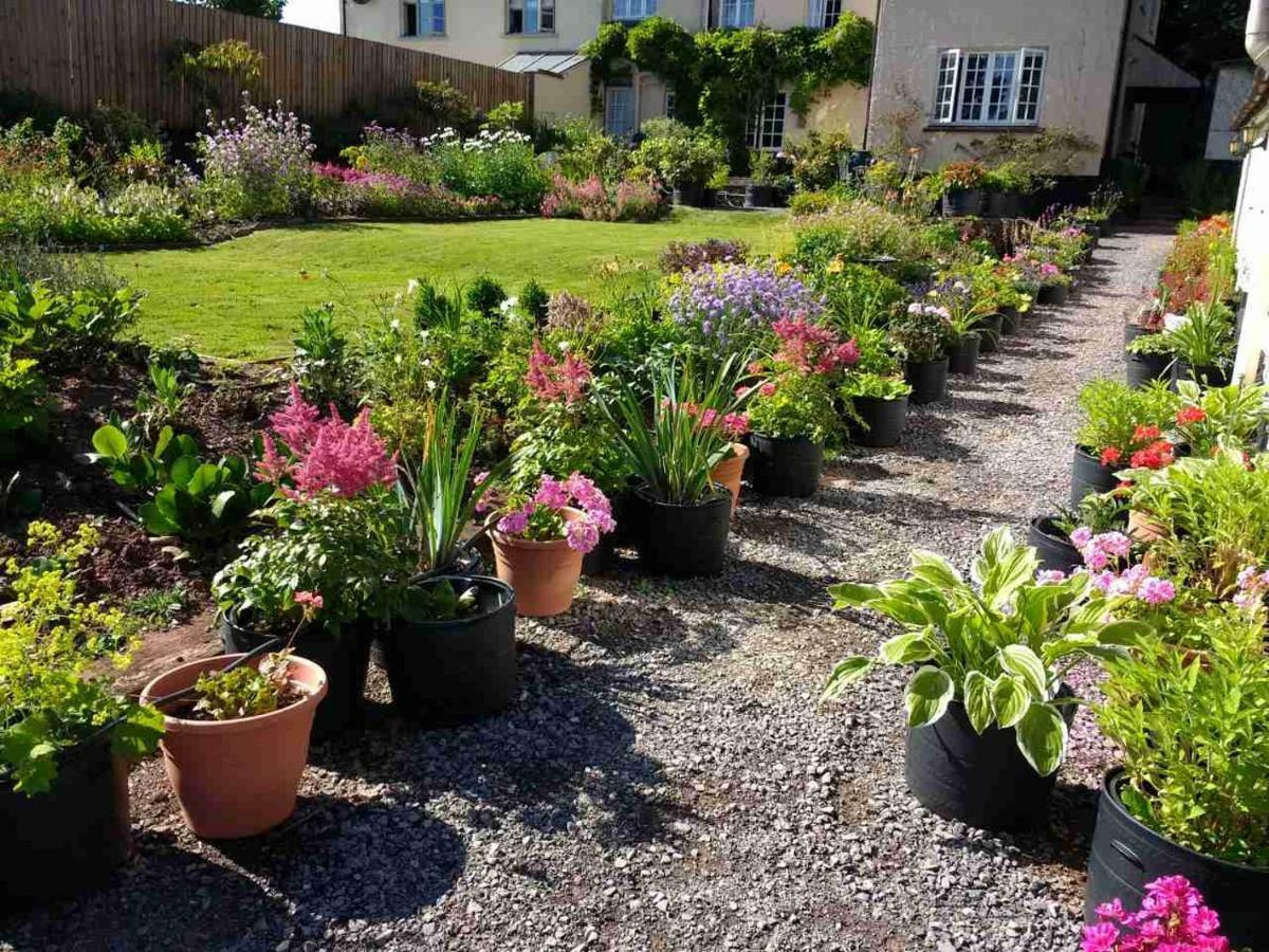 טיברטון Brambles Bed And Breakfast מראה חיצוני תמונה